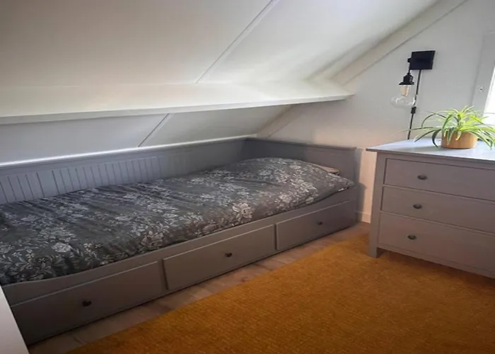 Belle Haan Де-Хаан